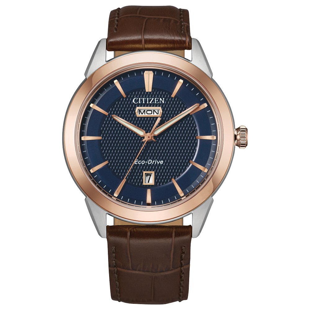 CITIZEN Eco-Drive Dress/Classic Eco Rolan Mens Stainless Steel –  RichardsJewelers